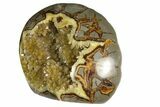 Polished, Crystal Filled Septarian Nodule - Utah #170013-1